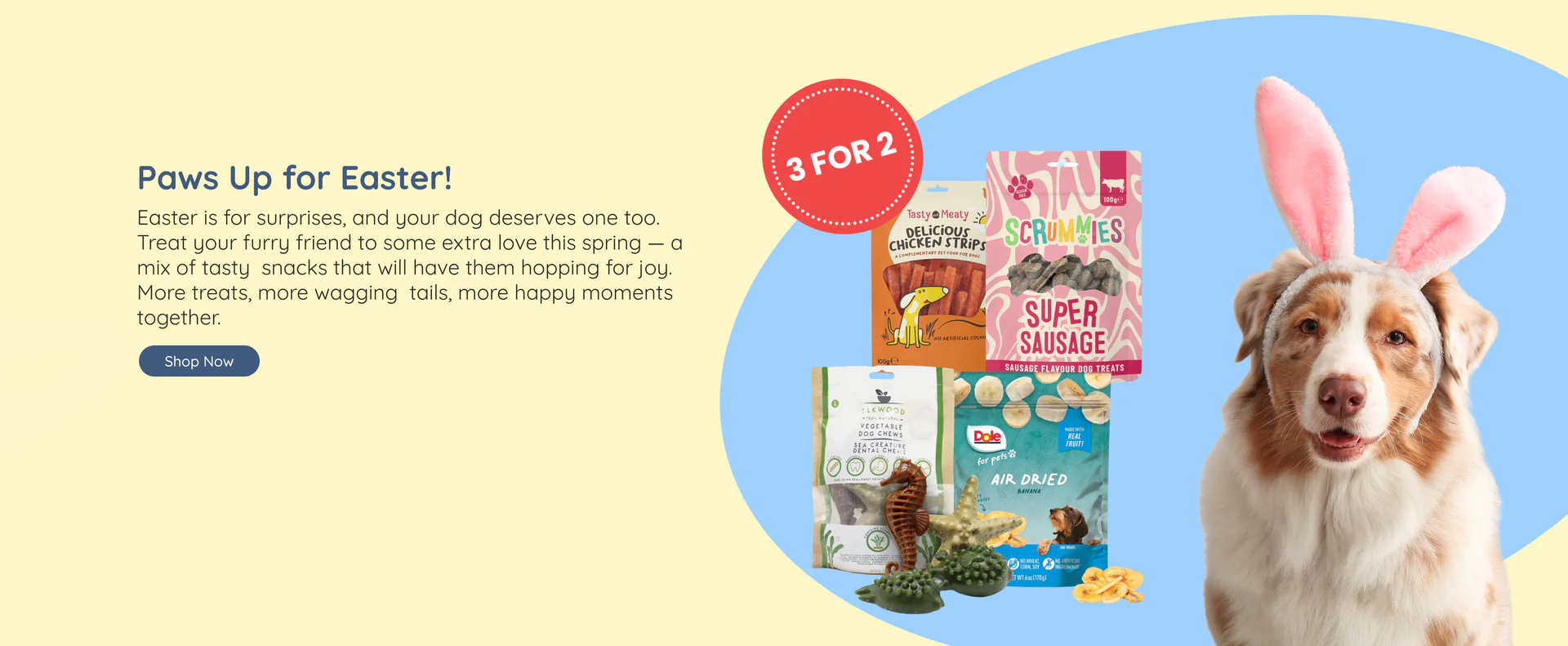 Healthy Pets, Happy Hearts